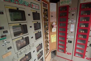 Egg Vending Machine Japan