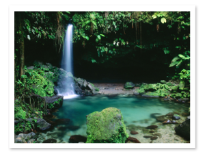 Morne Trois Pitons National Park in Dominica Caribbean