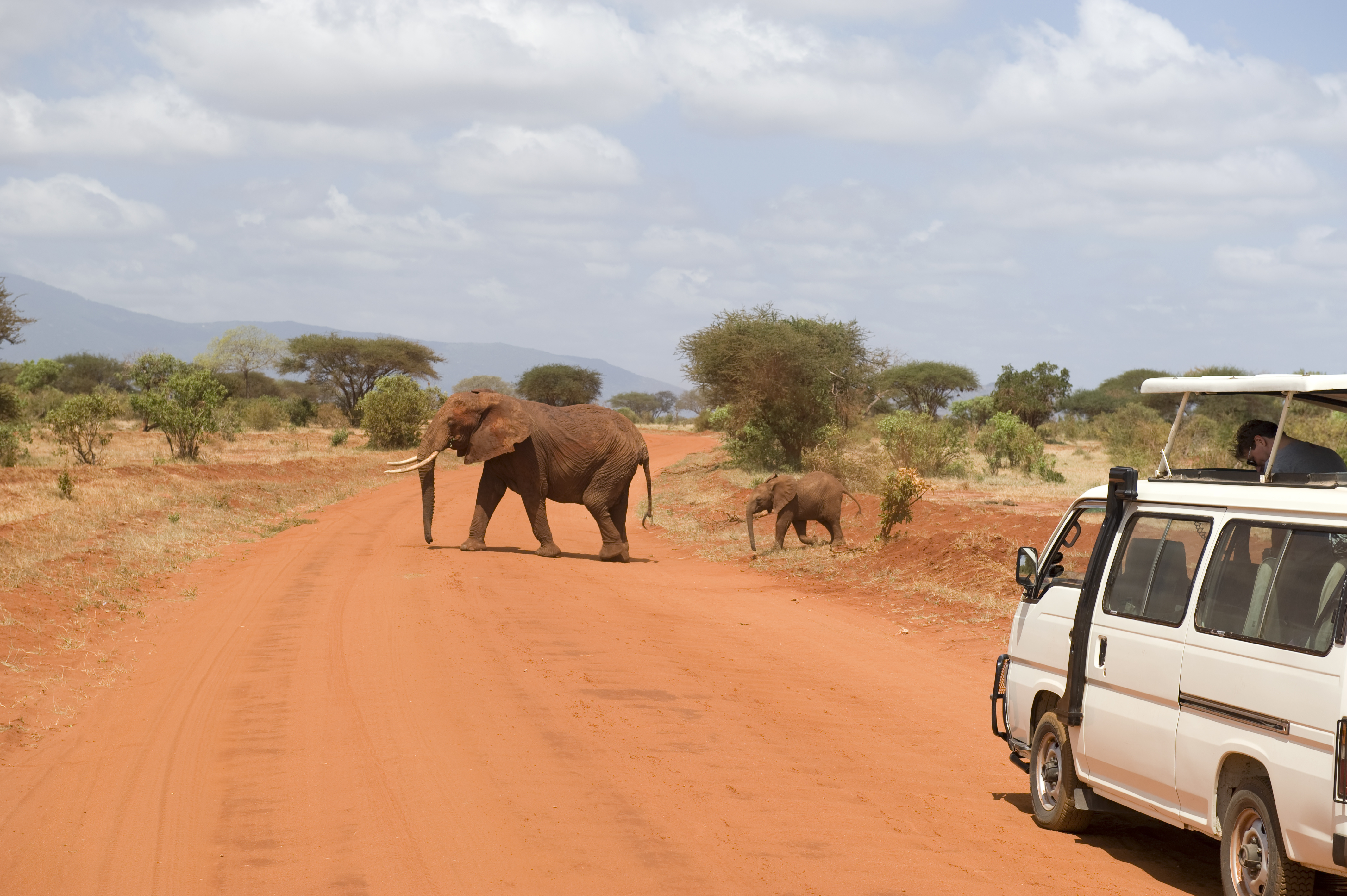 Overwhelmed In Trying to Choose A Safari Company?