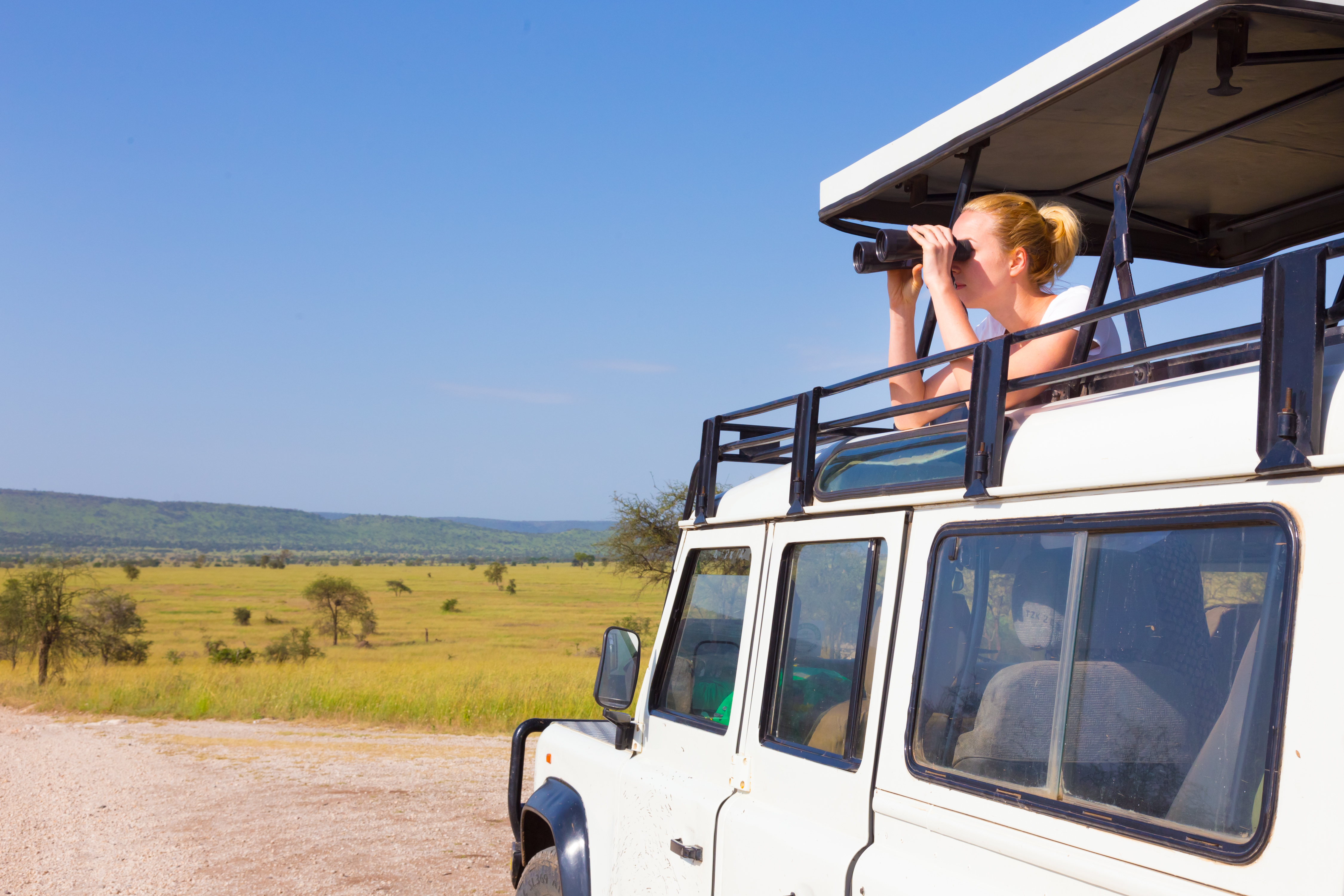 Africa Travel Tips – Best Time To Go On Safari