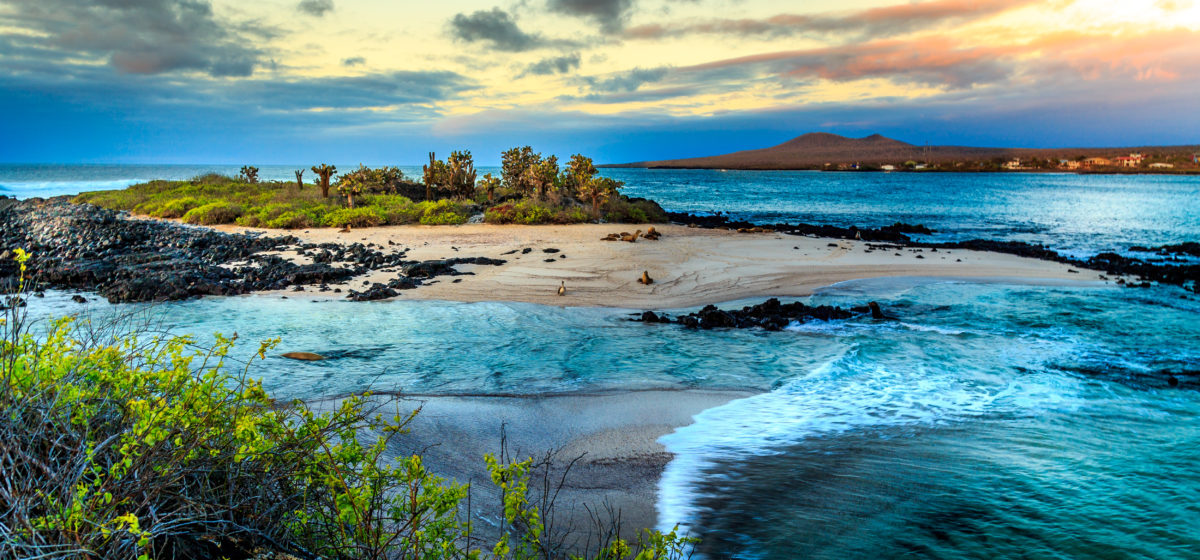 Galapagos Island Travel Tips