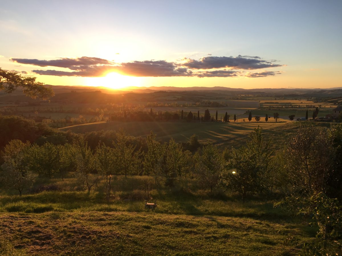 Buonconvento, Tuscany – Where to Stay, Eat, and Shop