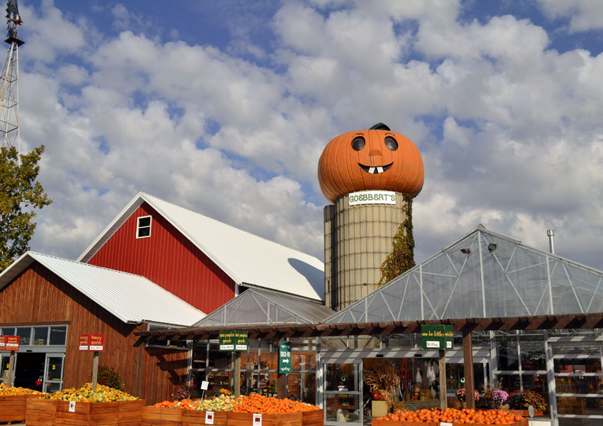 top pumpkin patches in illinois